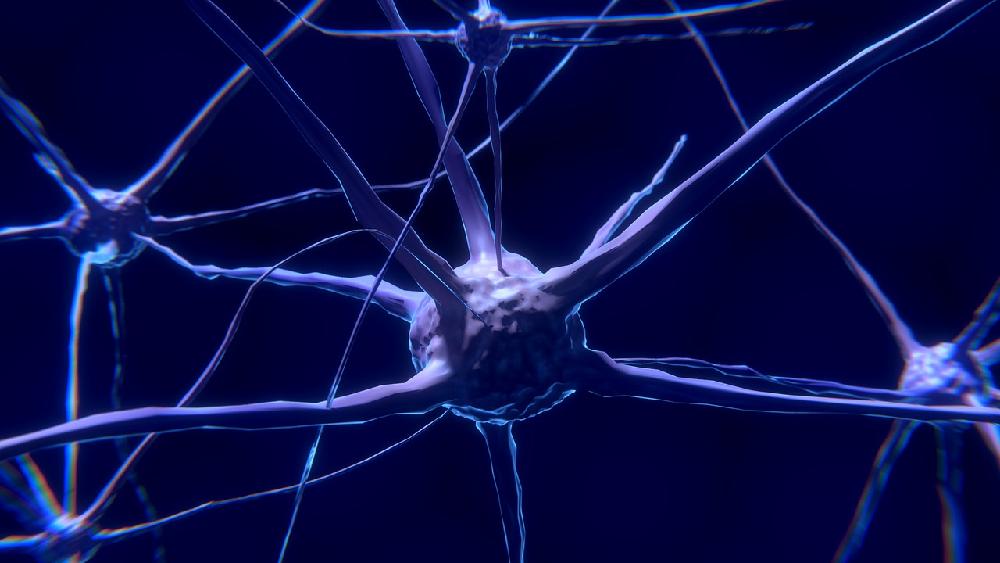 Sieci neuronowe - tworzone za pomocą sztucznej inteligencji